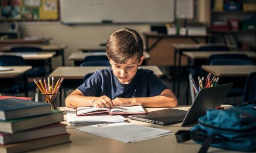 الصورة المصغرة للدورة